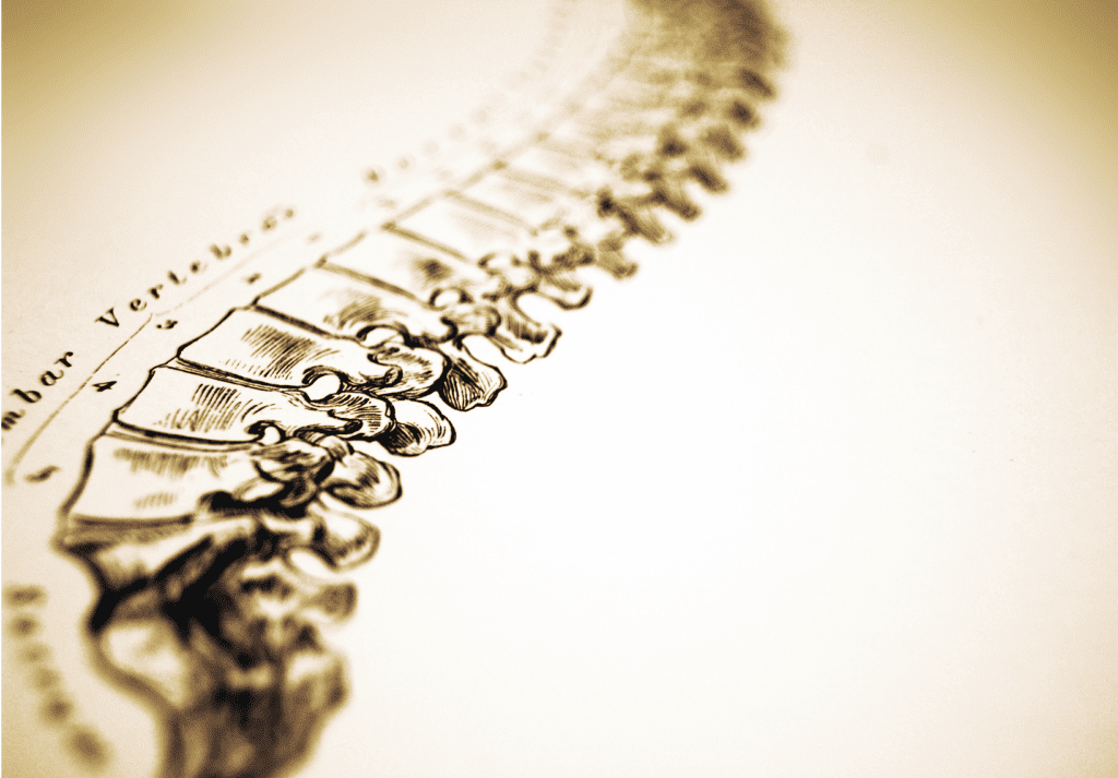 Illustrated spine showing lumbar vertebrae, representing common causes and treatment approaches for low back pain.