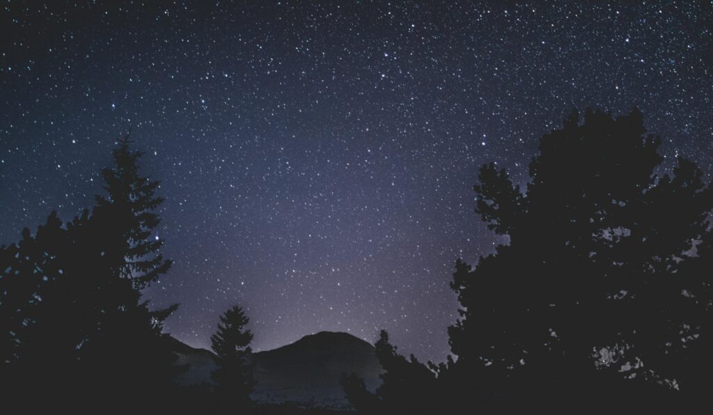 Dark star-filled night sky over trees and mountains, representing nighttime anxiety, racing thoughts, and sleepless nights.